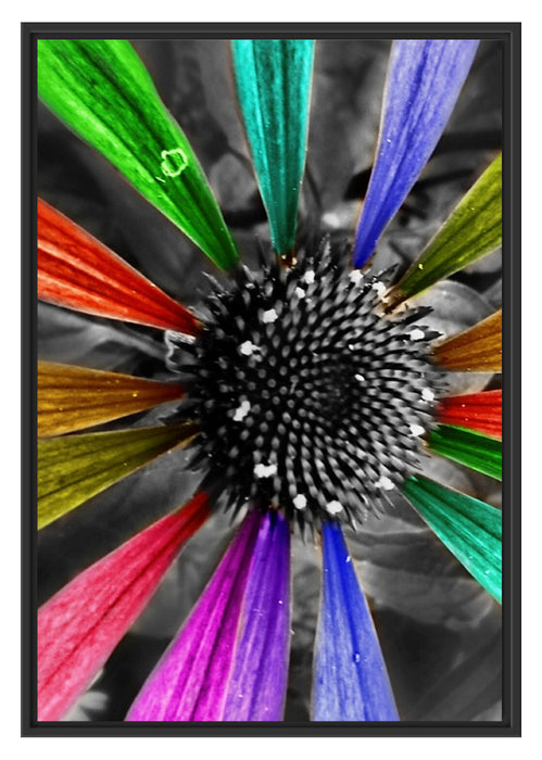 Pixxprint Bunte Blüte