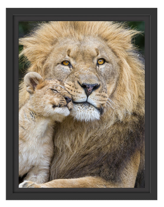 Löwe mit Jungtier Schattenfugenrahmen 38x30