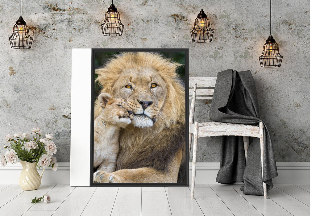 Löwe mit Jungtier Schattenfugenrahmen Wohnzimmer