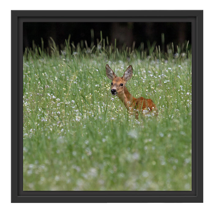 kleines Rehkitz auf Wiese Schattenfugenrahmen Quadratisch 40x40