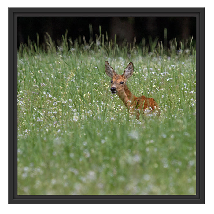 kleines Rehkitz auf Wiese Schattenfugenrahmen Quadratisch 55x55