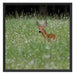 kleines Rehkitz auf Wiese Schattenfugenrahmen Quadratisch 70x70