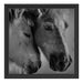 zwei liebevolle Pferde Schattenfugenrahmen Quadratisch 40x40