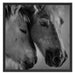 zwei liebevolle Pferde Schattenfugenrahmen Quadratisch 70x70