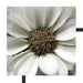 kleine weiße zarte Blüte Schattenfugenrahmen Quadratisch 55x55