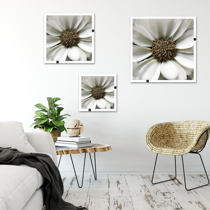 kleine weiße zarte Blüte Quadratisch Schattenfugenrahmen Wohnzimmer