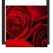rote Rosen Schattenfugenrahmen Quadratisch 40x40