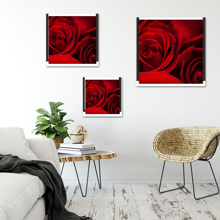 rote Rosen Quadratisch Schattenfugenrahmen Wohnzimmer