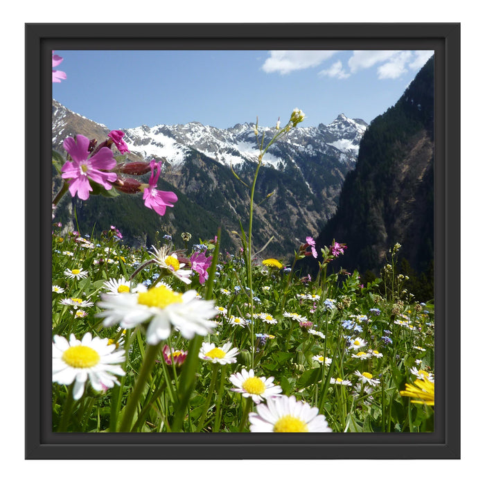 Wunderschöne Blumen Alpenwiese Schattenfugenrahmen Quadratisch 40x40