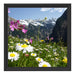 Wunderschöne Blumen Alpenwiese Schattenfugenrahmen Quadratisch 40x40