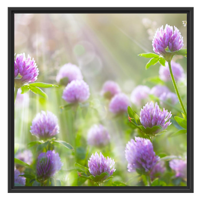 Kleeblüten im Sonnenschein Schattenfugenrahmen Quadratisch 70x70