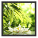 Weiße Seerose im Wasser Wellness Schattenfugenrahmen Quadratisch 55x55