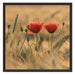 Zwei schöne Mohnblumen Schattenfugenrahmen Quadratisch 70x70