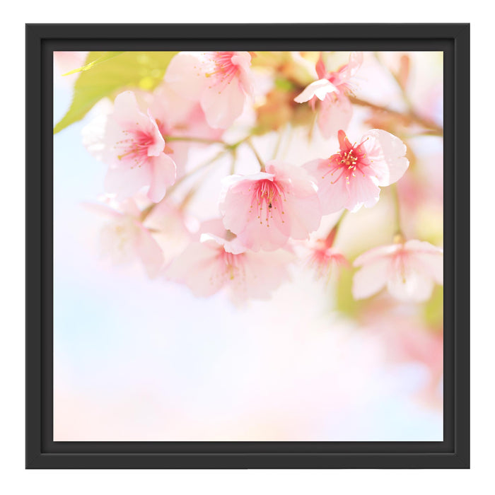 Kirschblüten an Baum Schattenfugenrahmen Quadratisch 40x40