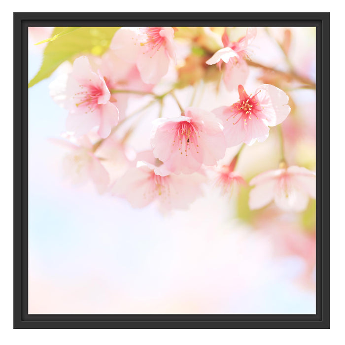 Kirschblüten an Baum Schattenfugenrahmen Quadratisch 55x55