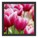 Tulpen mit Morgentau Schattenfugenrahmen Quadratisch 40x40