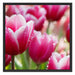 Tulpen mit Morgentau Schattenfugenrahmen Quadratisch 70x70