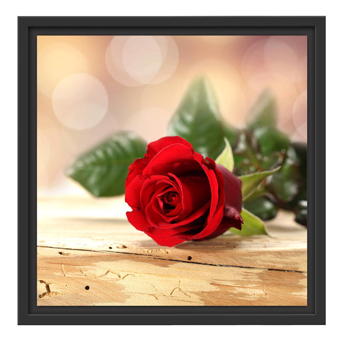 Rose auf Holztisch Schattenfugenrahmen Quadratisch 40x40