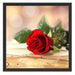Rose auf Holztisch Schattenfugenrahmen Quadratisch 55x55