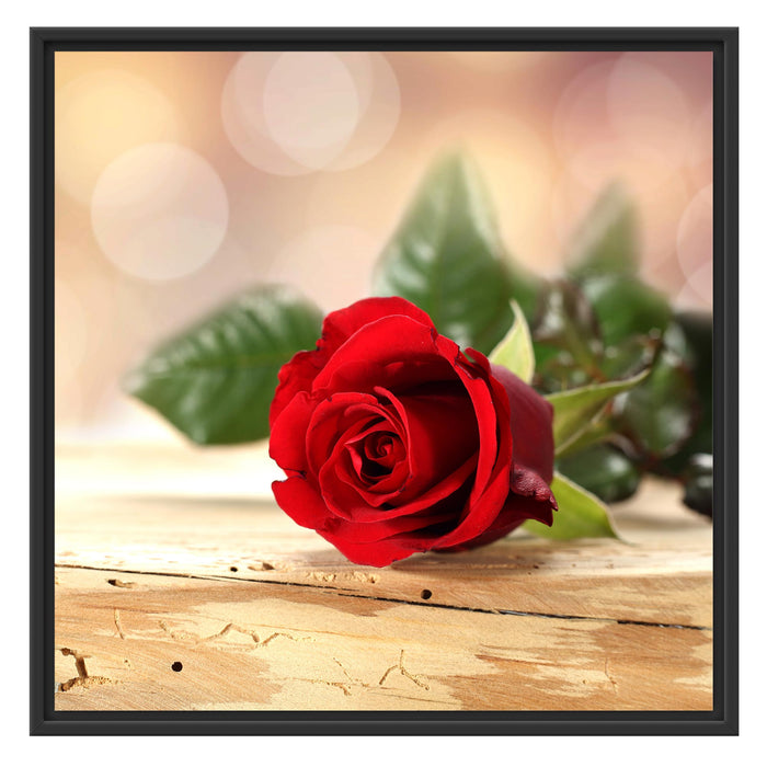 Rose auf Holztisch Schattenfugenrahmen Quadratisch 70x70