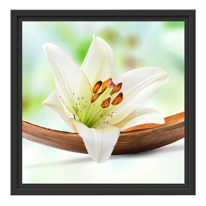 Lilie Blüte Bananenblatt Schattenfugenrahmen Quadratisch 40x40