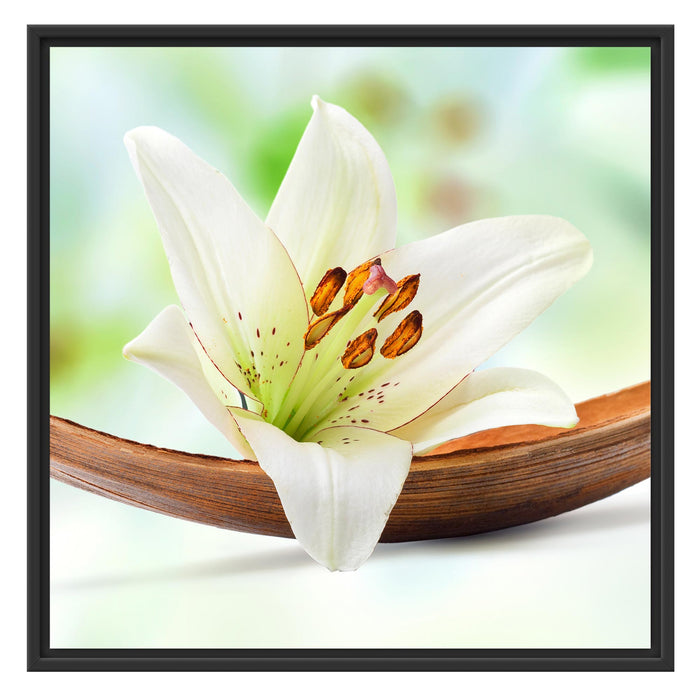 Lilie Blüte Bananenblatt Schattenfugenrahmen Quadratisch 70x70