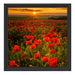 Mohnwiese im Sonnenuntergang Schattenfugenrahmen Quadratisch 40x40