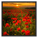 Mohnwiese im Sonnenuntergang Schattenfugenrahmen Quadratisch 70x70