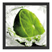 Limette fällt in Wasser Schattenfugenrahmen Quadratisch 40x40