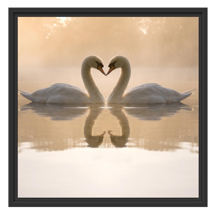 Schwäne im Morgengrauen Schattenfugenrahmen Quadratisch 55x55