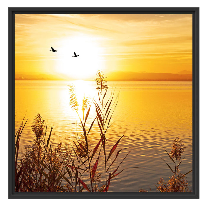 Sonnenuntergang am See Schattenfugenrahmen Quadratisch 70x70