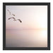 Möwen am Meer bei Sonnenaufgang Schattenfugenrahmen Quadratisch 40x40