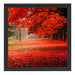Rot gefärbter Park im Herbst Schattenfugenrahmen Quadratisch 40x40
