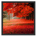 Rot gefärbter Park im Herbst Schattenfugenrahmen Quadratisch 55x55