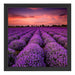 Lila Lavendel Provence Schattenfugenrahmen Quadratisch 40x40