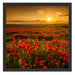 Mohnblütenfeld bei Sonnenuntergang Schattenfugenrahmen Quadratisch 55x55