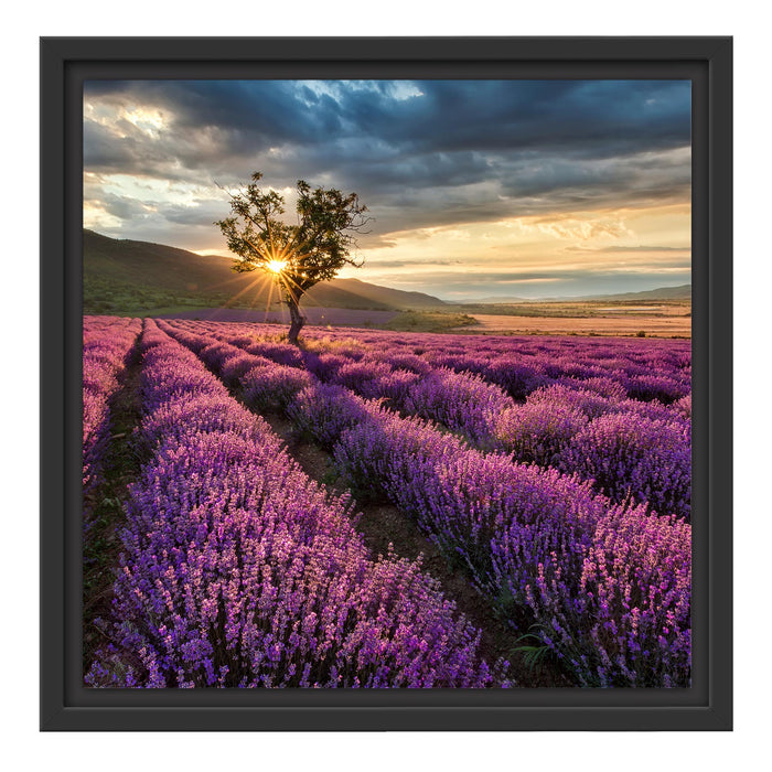 Lavendel Provence mit Baum Schattenfugenrahmen Quadratisch 40x40