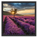 Lavendel Provence mit Baum Schattenfugenrahmen Quadratisch 55x55