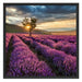 Lavendel Provence mit Baum Schattenfugenrahmen Quadratisch 70x70