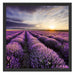 Lavendel Provence Landschaft Schattenfugenrahmen Quadratisch 55x55