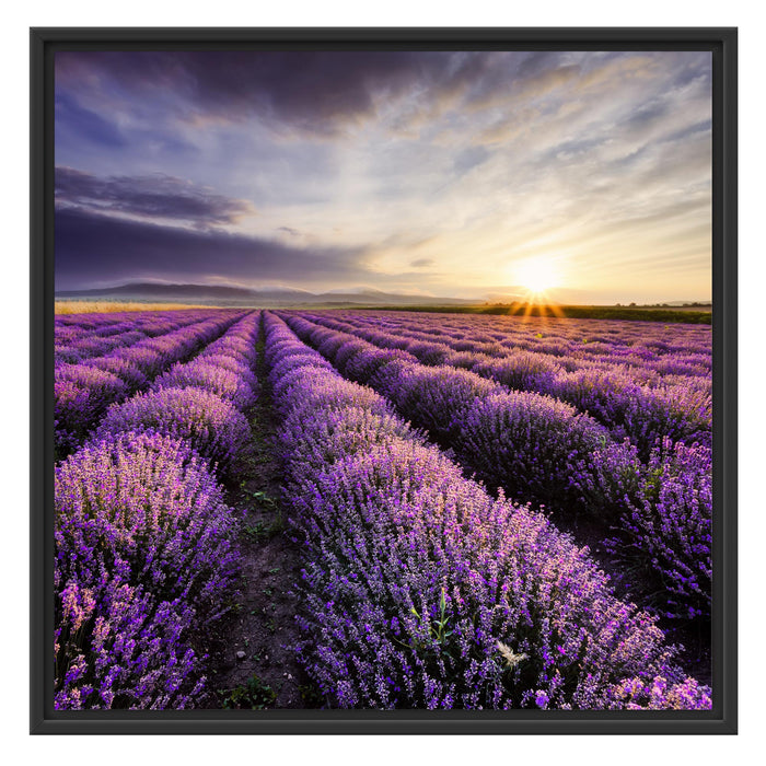 Lavendel Provence Landschaft Schattenfugenrahmen Quadratisch 70x70