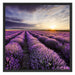 Lavendel Provence Landschaft Schattenfugenrahmen Quadratisch 70x70