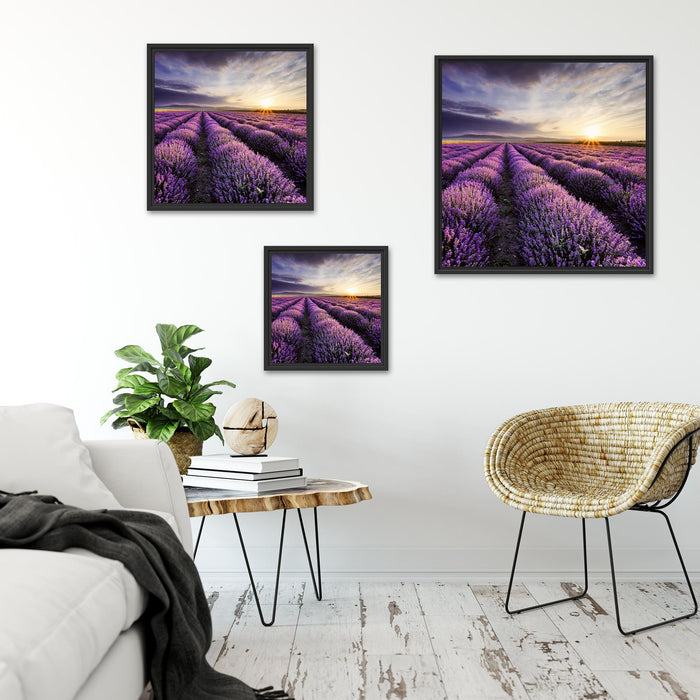 Lavendel Provence Landschaft Quadratisch Schattenfugenrahmen Wohnzimmer