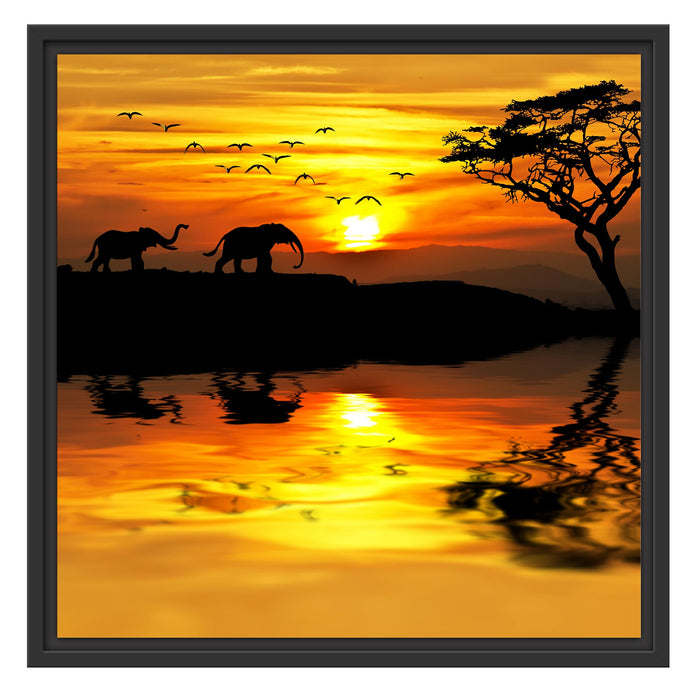 Elefanten in Afrikanischer Steppe Schattenfugenrahmen Quadratisch 55x55