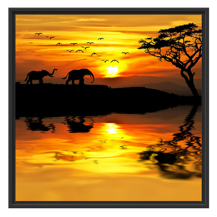 Elefanten in Afrikanischer Steppe Schattenfugenrahmen Quadratisch 70x70