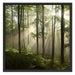 Sonnenstrahlen in Wäldern Schattenfugenrahmen Quadratisch 70x70