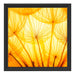 Pusteblumen oranges Licht Schattenfugenrahmen Quadratisch 40x40