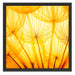 Pusteblumen oranges Licht Schattenfugenrahmen Quadratisch 55x55