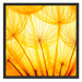 Pusteblumen oranges Licht Schattenfugenrahmen Quadratisch 70x70