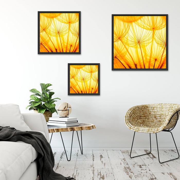 Pusteblumen oranges Licht Quadratisch Schattenfugenrahmen Wohnzimmer